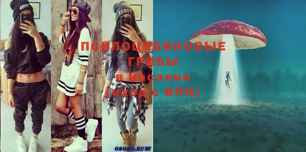 индика Переславль-Залесский