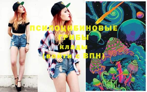 герыч Пересвет